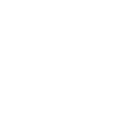 fleurs toussaint